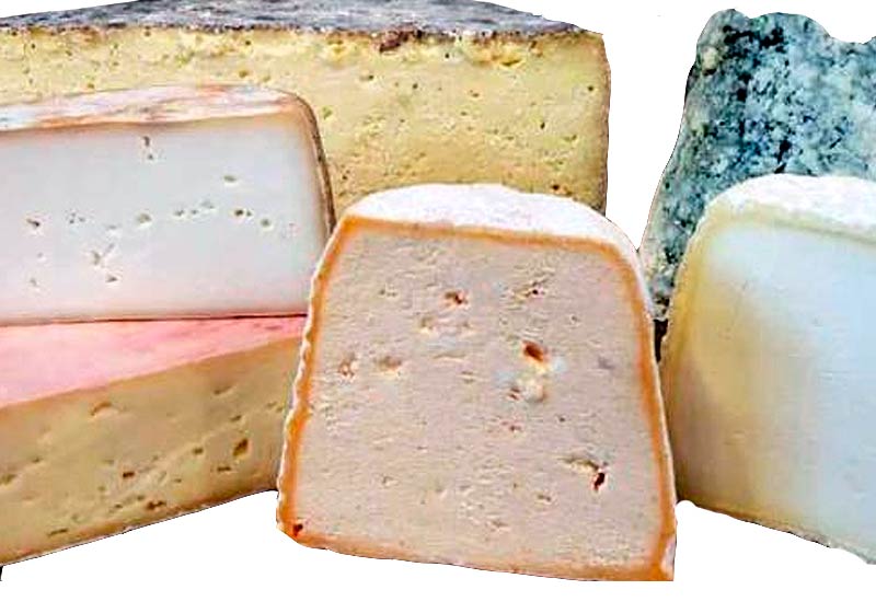 Tipos de quesos asturianos